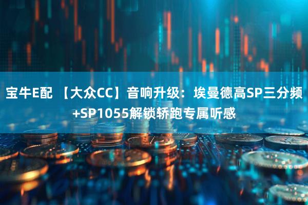 宝牛E配 【大众CC】音响升级：埃曼德高SP三分频+SP1055解锁轿跑专属听感