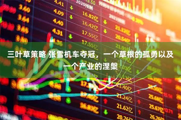 三叶草策略 张雪机车夺冠，一个草根的孤勇以及一个产业的涅槃