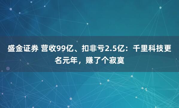 盛金证券 营收99亿、扣非亏2.5亿：千里科技更名元年，赚了个寂寞