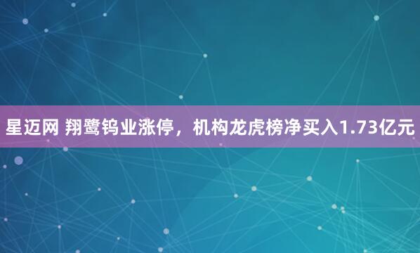 星迈网 翔鹭钨业涨停，机构龙虎榜净买入1.73亿元