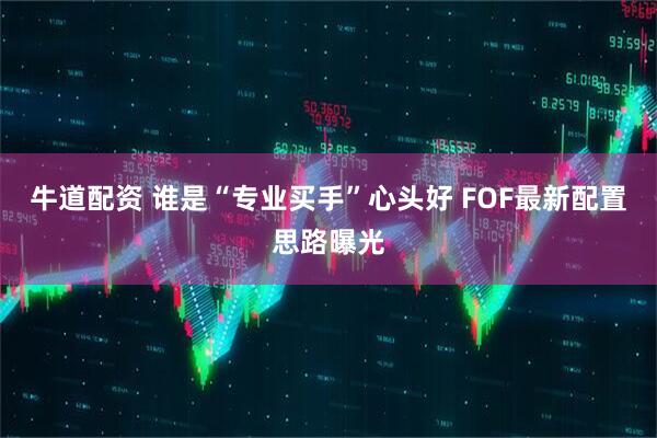 牛道配资 谁是“专业买手”心头好 FOF最新配置思路曝光