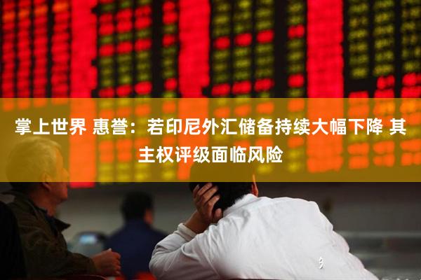 掌上世界 惠誉：若印尼外汇储备持续大幅下降 其主权评级面临风险