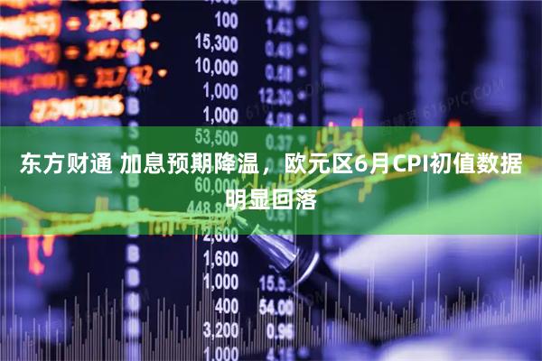 东方财通 加息预期降温，欧元区6月CPI初值数据明显回落