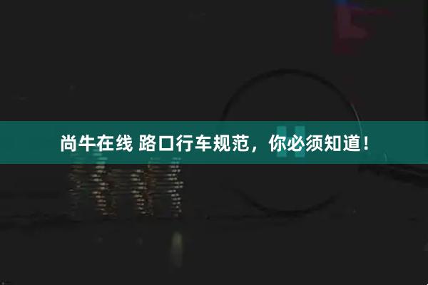 尚牛在线 路口行车规范，你必须知道！