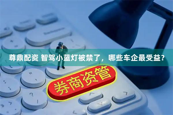 尊鼎配资 智驾小蓝灯被禁了，哪些车企最受益？