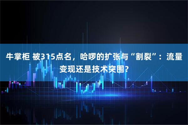 牛掌柜 被315点名，哈啰的扩张与“割裂”：流量变现还是技术突围？