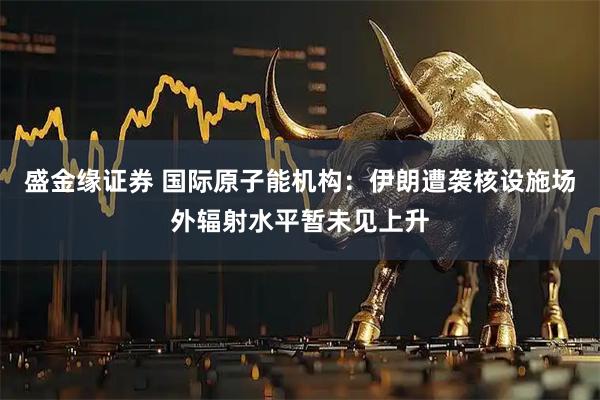 盛金缘证券 国际原子能机构：伊朗遭袭核设施场外辐射水平暂未见上升