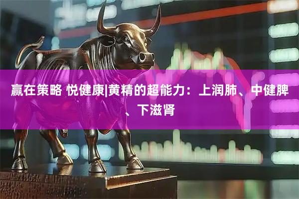 赢在策略 悦健康|黄精的超能力：上润肺、中健脾、下滋肾