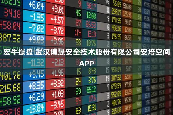 宏牛操盘 武汉博晟安全技术股份有限公司安培空间APP