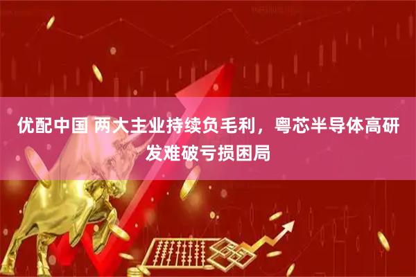优配中国 两大主业持续负毛利，粤芯半导体高研发难破亏损困局