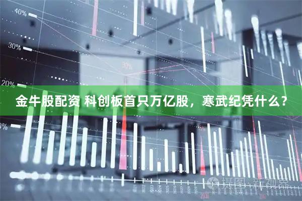 金牛股配资 科创板首只万亿股，寒武纪凭什么？
