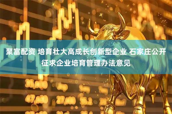 聚富配资 培育壮大高成长创新型企业 石家庄公开征求企业培育管理办法意见
